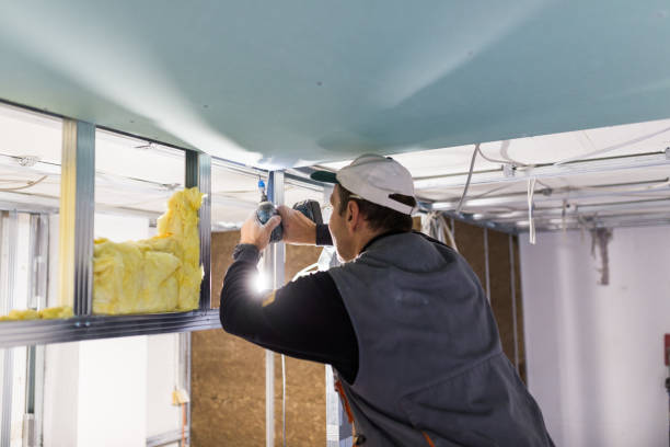 Best DIY Insulation Kits and Guidance in Bellport, NY